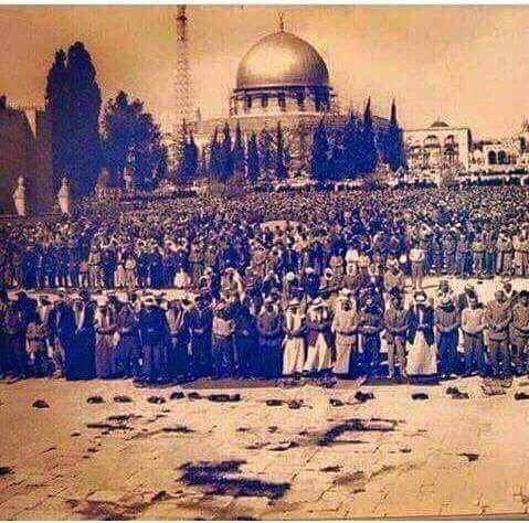 saharaboshrof's tweet photo. "ستجمعنا صلاة الفجر في صدرِكْ
وقرآنٌ تـبّـسـم في سـنا ثغرِكْ".

#صلاة_الفجر .. #القدس #فلسطين https://t.co/BJzDlAulHG