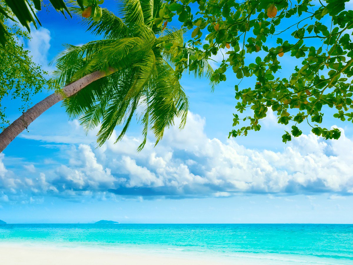 EliteToursAbrd's tweet photo. #Mondays are always doable when they look like this! #Belize #LifeAbroad #RelocationGoals https://t.co/HxYp7gfakv