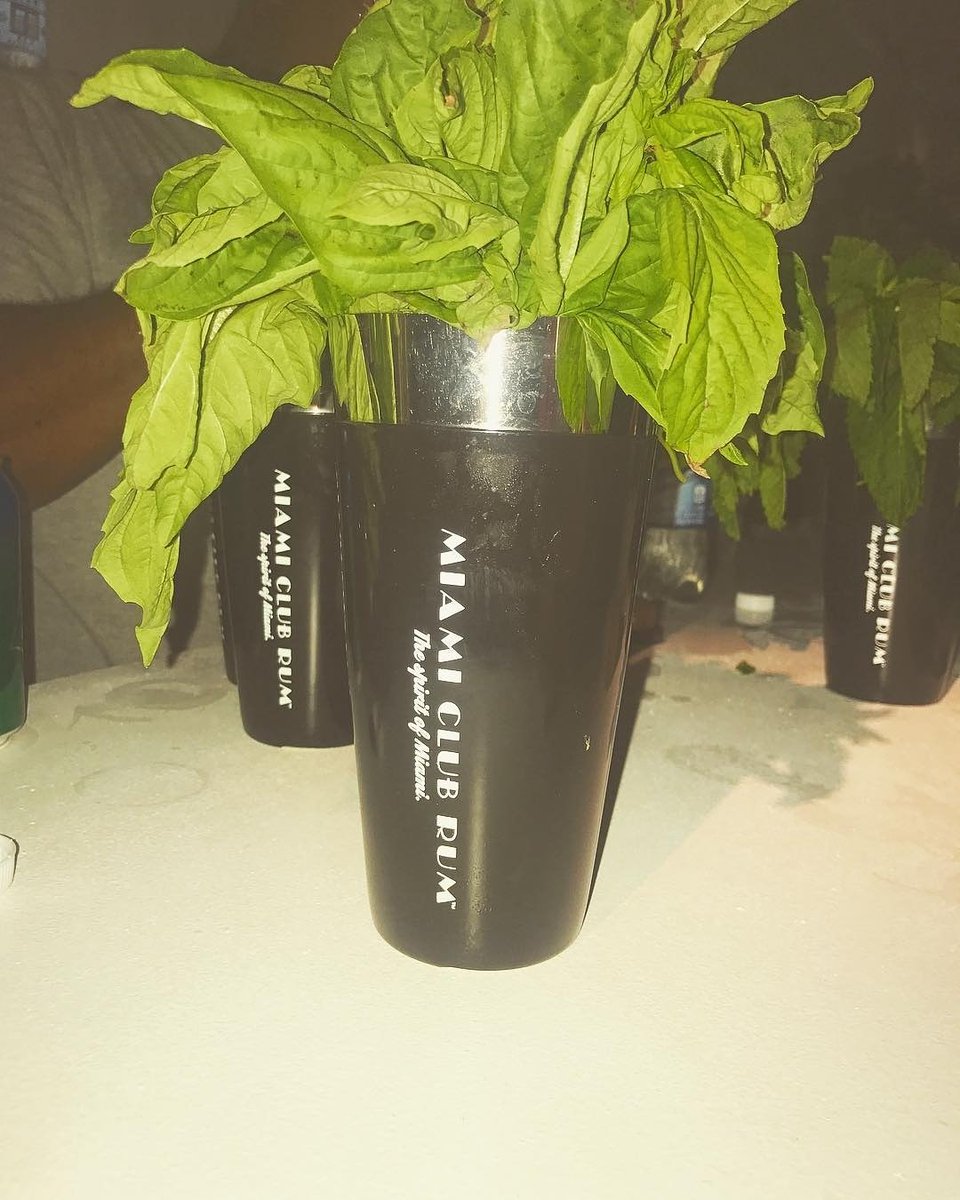 from <a href="/miamiclubrum/">@miamiclubrum</a>  -  Don't forget to add Mint leaves for the finishing touch to a perfect mojito Oh and Miami Club Rum too😉 <a href="/willylevy29/">William Levy</a>
