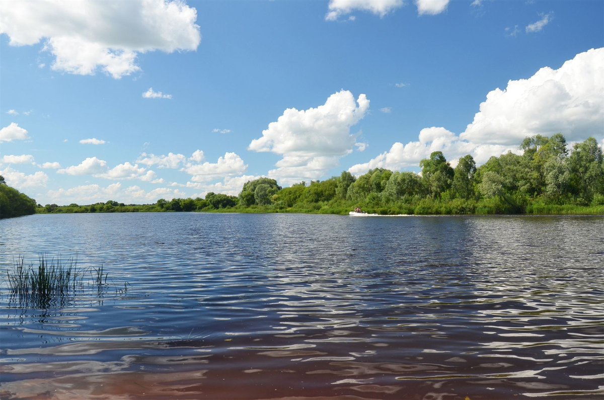 RZNcity's tweet photo. Солотча. Река Старица 
 
#рязань #солотча #старица #сосновыйбор #рязань #ryazan #rzn #рзн #новостирязани #rzncity #rzn_city https://t.co/5HfBocRPdC