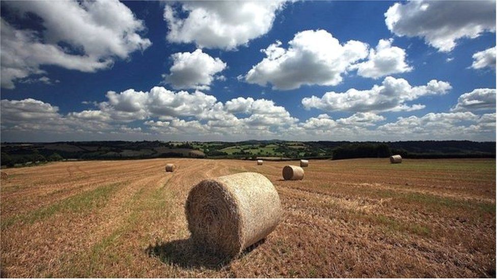 charliesinsight's tweet photo. #GreenBrexit Farmers will only get payouts if they agree to protect the environment and enhance rural life https://t.co/I7XbUVkvzJ https://t.co/dSbWgUn1dR