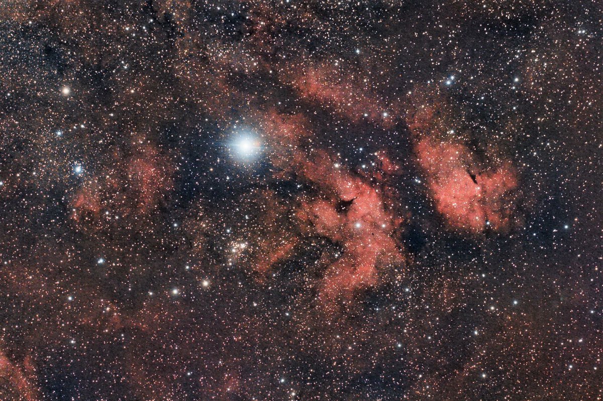 ArmyOrtho's tweet photo. Sadr Region in the constellation Cygnus. Taken from The Woodlands. https://t.co/i3VCeoPmxC