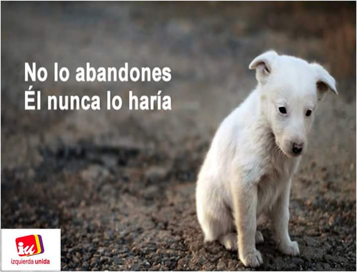iuelpadul's tweet photo. Campaña contra el abandono de animales. https://t.co/EccBUTKezN