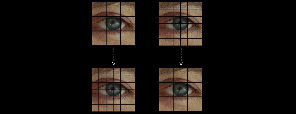 AmericanCine's tweet photo. Baffled by the "K Wars"? @steveyedlin, ASC (Looper, Star Wars: The Last Jedi) explains the imaging issues at play. https://t.co/gMNwChGep2 https://t.co/Ze3R5G3n1P
