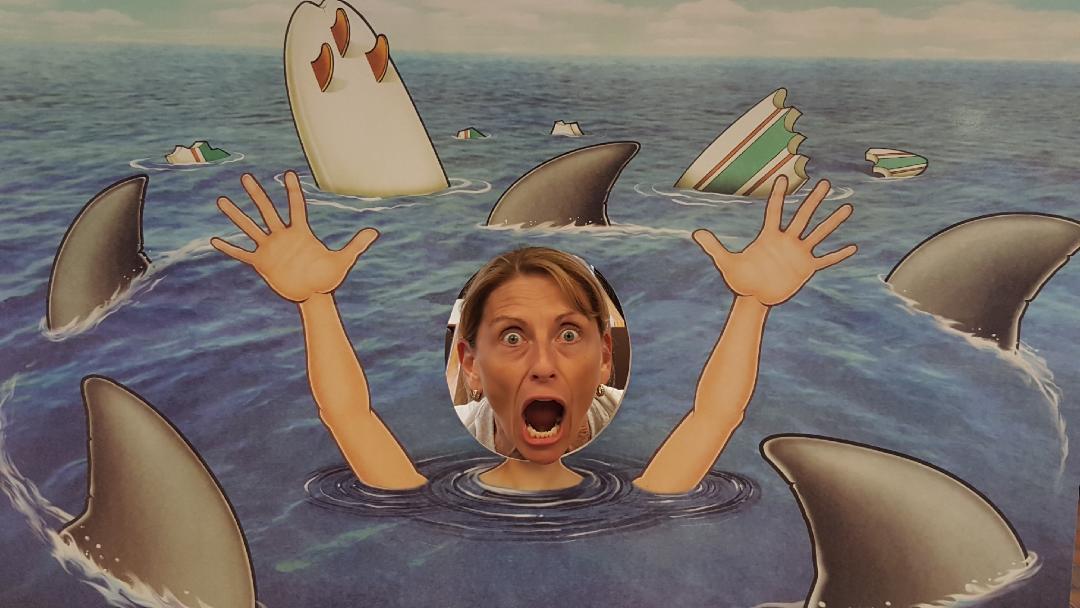@thedonutstation fun for #SharkWeek