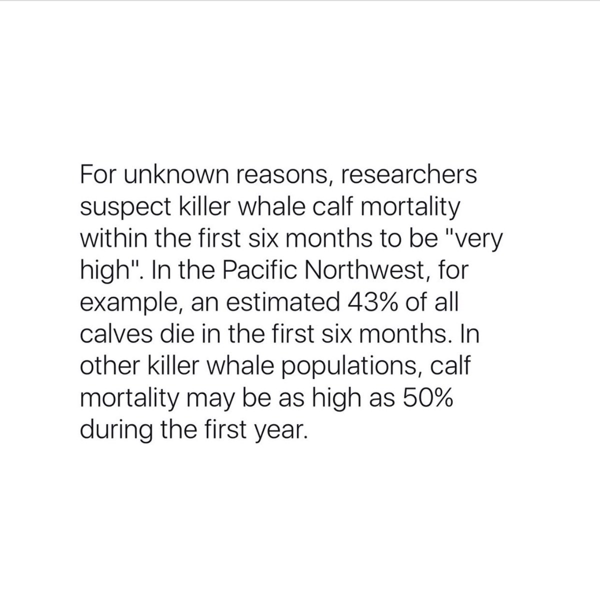 dreamingmeekly's tweet photo. @Mrs_Laury_B @SeaWorld You have no idea what you're talking about. https://t.co/P3k09AXhrZ