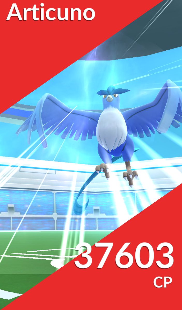 Phoebe1_'s tweet photo. ARTICUNO HYYYYYPE #PokemonGO #PokemonGOGreece https://t.co/3BJvGkFBLa