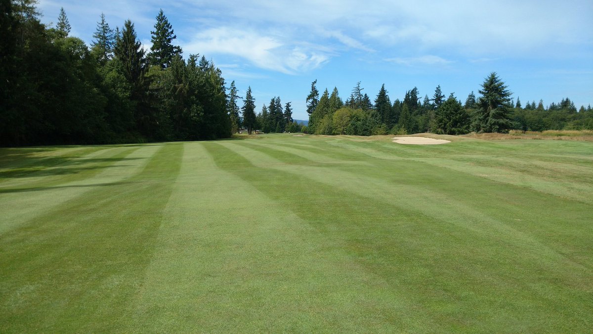 Looking good ahead of the BCGA Senior Championship. Great job boys, what we lack in numbers we make up for in effort and determination 👏