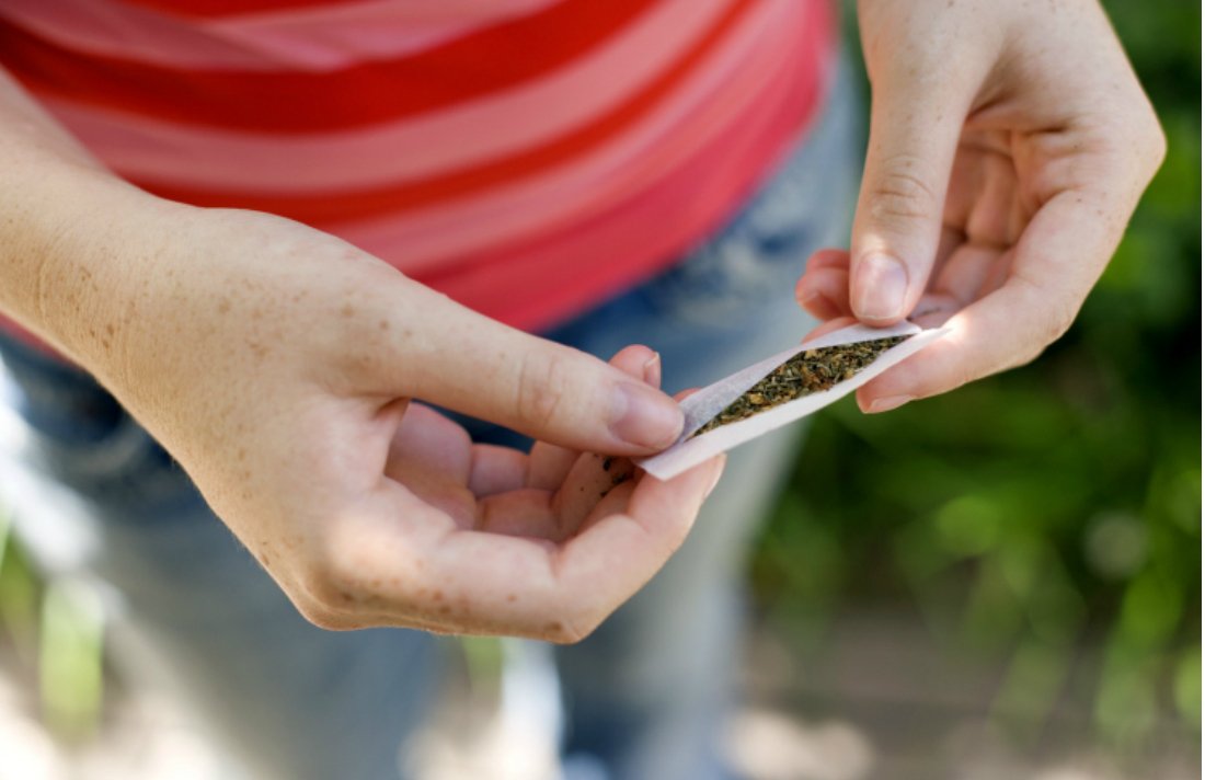 CannabisCulture tweet picture