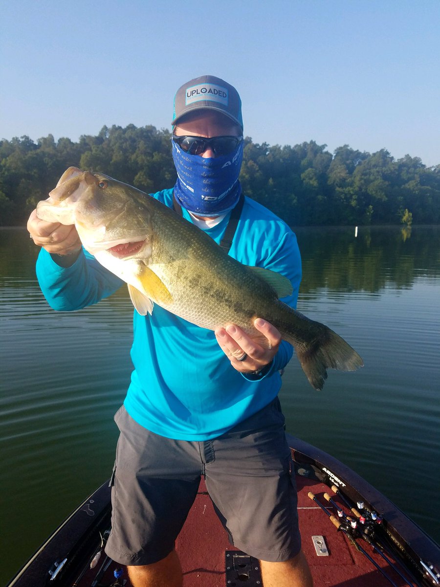 live2fish365's tweet photo. Caught me a #freaknasty on the #sprinkerfrog @ArdentReels and rods handled this beauty with ease! #bassnation #catchoftheweek #bigbass https://t.co/Gk6luSm8KO