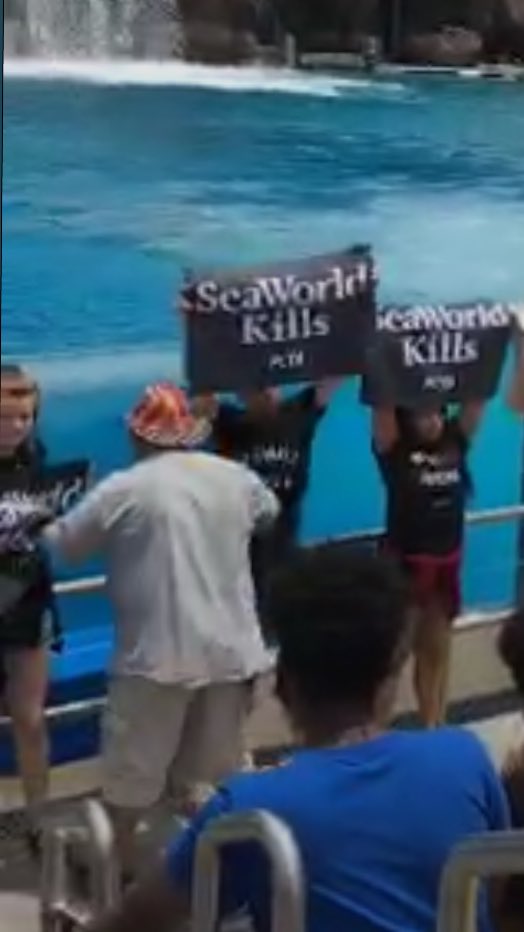 ORLParkPass's tweet photo. Awesome SeaWorld fans! One guy throws soda at the clowns AND breaks his megaphone! The other moves protestors and rips their signs! https://t.co/zmzfeC7a7z