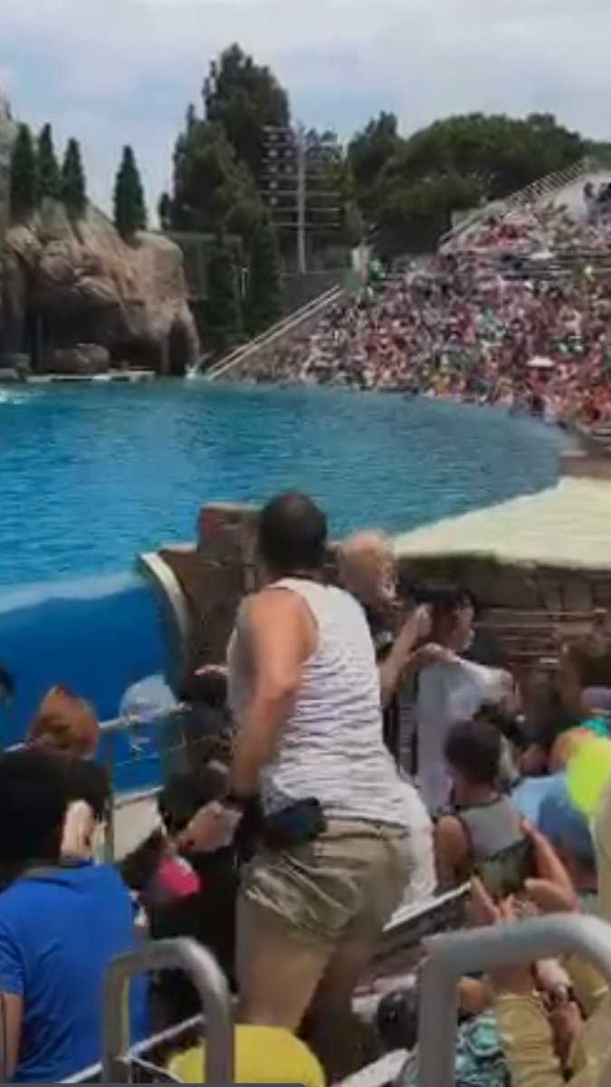 ORLParkPass's tweet photo. Awesome SeaWorld fans! One guy throws soda at the clowns AND breaks his megaphone! The other moves protestors and rips their signs! https://t.co/zmzfeC7a7z