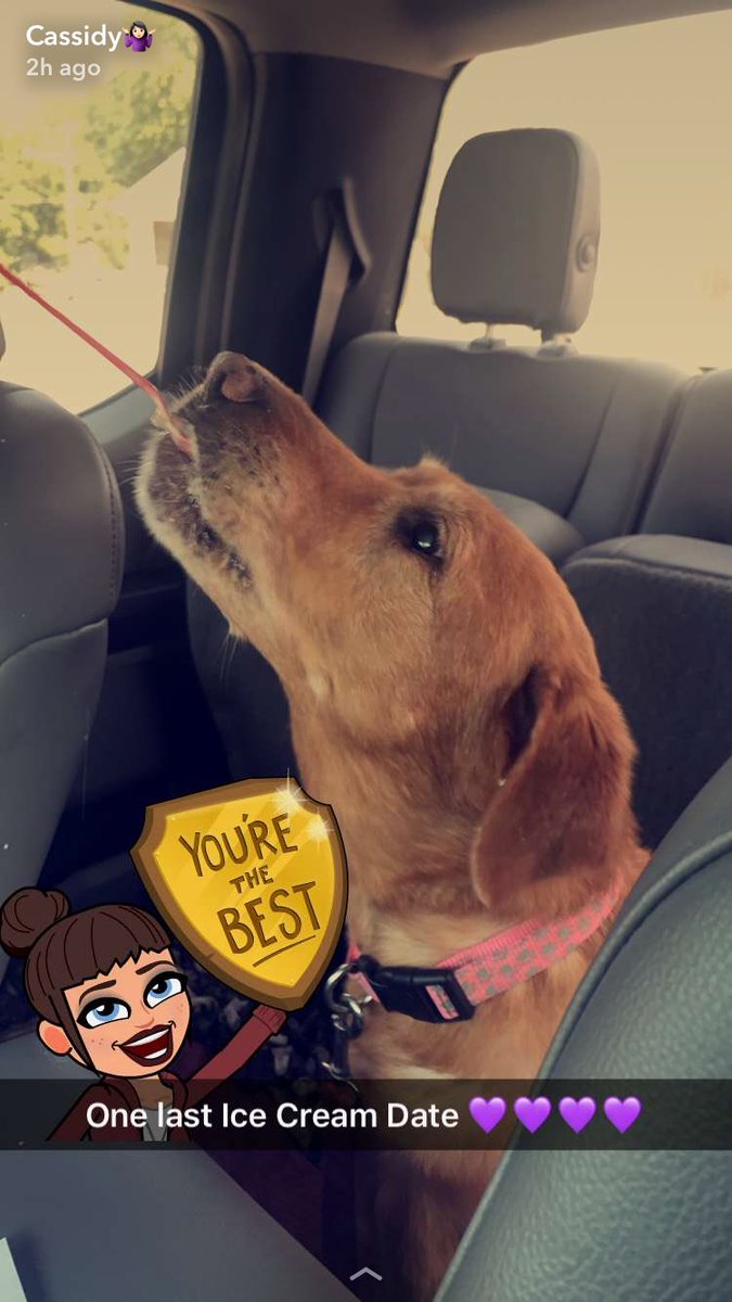 BooBoo_0014's tweet image. I hope Doggy heaven treats you like the princess you were here for the last 18 years 💔🐶