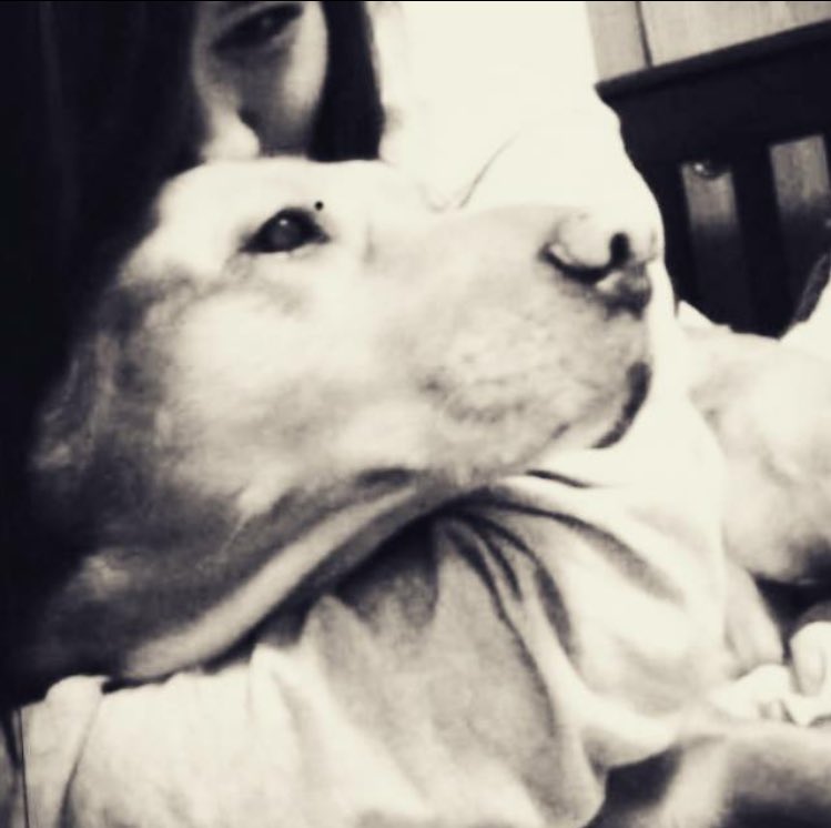 BooBoo_0014's tweet image. I hope Doggy heaven treats you like the princess you were here for the last 18 years 💔🐶