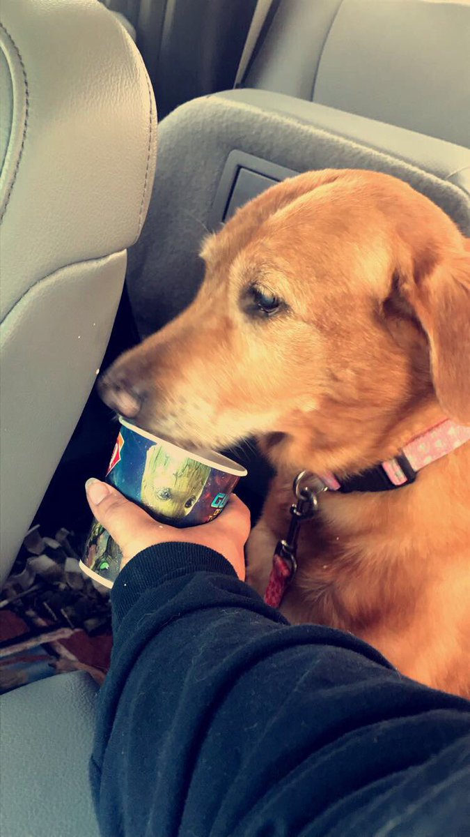 BooBoo_0014's tweet image. I hope Doggy heaven treats you like the princess you were here for the last 18 years 💔🐶