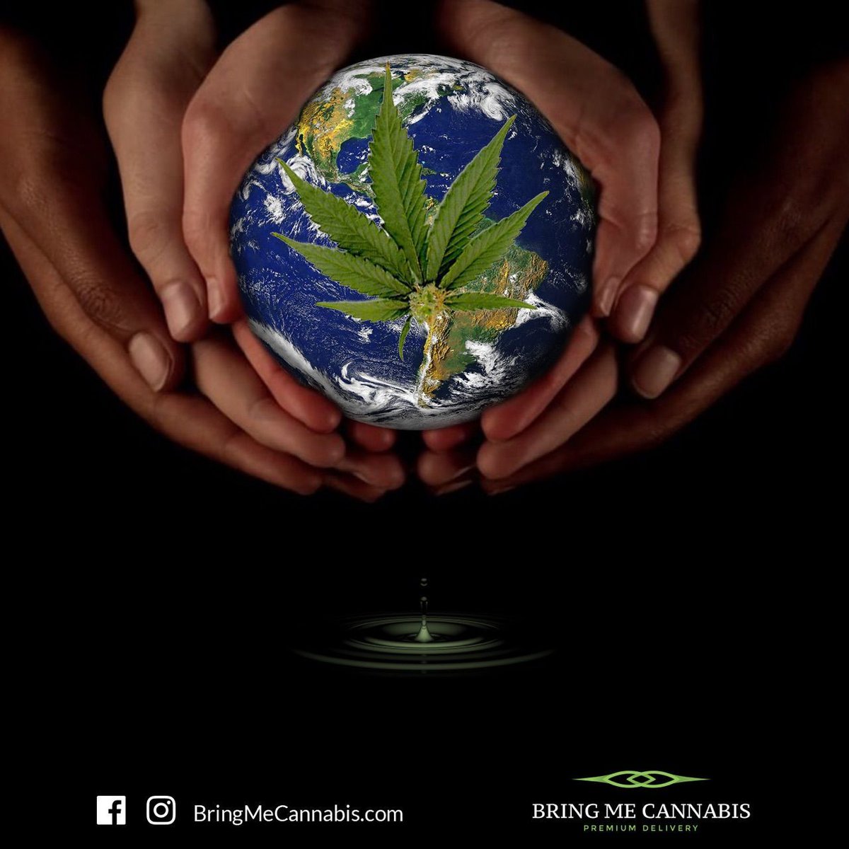 BringCannabis's tweet photo. #weedinla #hightimes #bringmecannabis #getnugg #cannabis #highsociety #thc #highlife #orangecounty #sandiego #Murrieta #corona #lakeelsinore https://t.co/4Ab8adQPuS