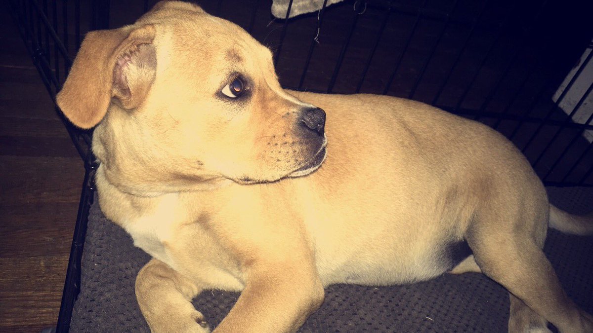 Taylor Hensley On Twitter Already Dropping Food On The Floor For