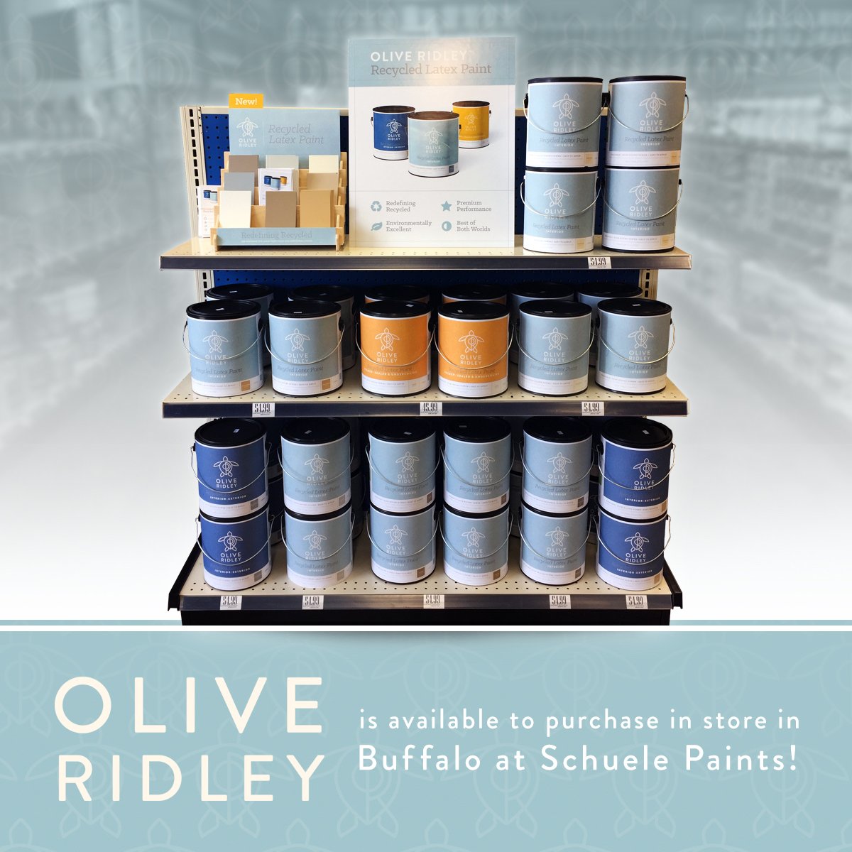 OliveRidleyRCP's tweet photo. Grab Olive Ridley™ Paint for your next project at Schuele Paint. #sustainability #oliveridleypaint #recycle #interiordesign #leed https://t.co/B4GUpi7btv