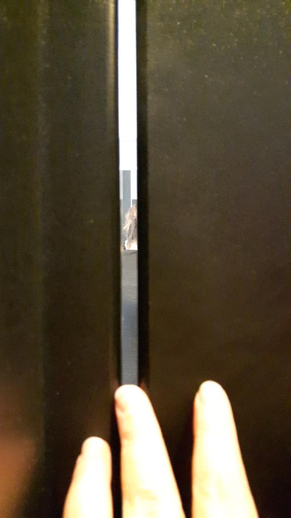 Pointy_EBT's tweet photo. So wtf is up with american toilets? I should NOT be able to see outside the cubicle I'm in. Privacy much? #confused #badlydesigned https://t.co/8V8UKpS209