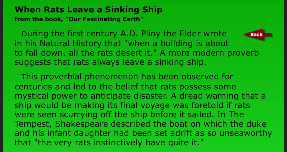 Rats always leave a sinking ship

Rats gift in life is sensing danger before it happens