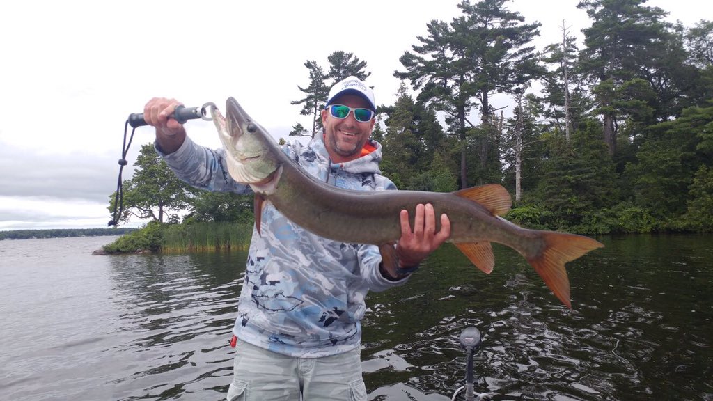 C_Norton7's tweet photo. 39inch Musky. Buckhorn Lake Ontario Canada #westinlures https://t.co/PUWURhhobH