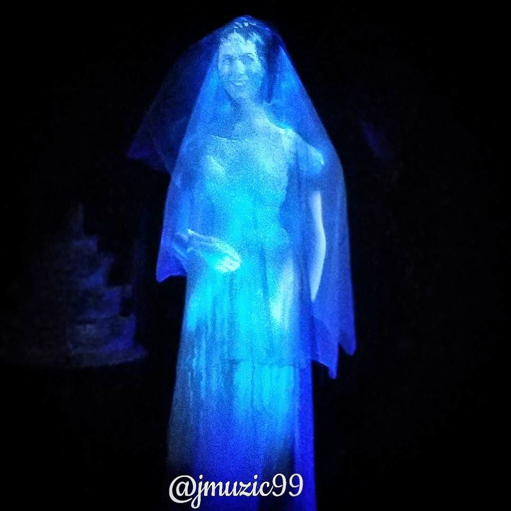 jmuzic99's tweet photo. #Contance, aka #TheBlackWidowBride, posed for a quick pic today at @Disneylandtoday. #Disney #Disneyland #NewOrlea… https://t.co/GpvUQGl5UZ https://t.co/8Um5PHcPSk