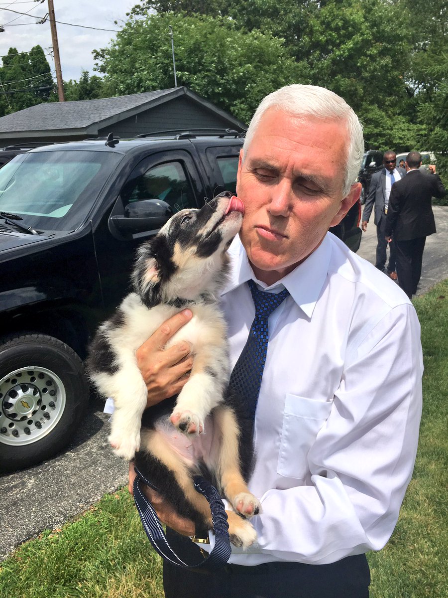realMarlonBundo's tweet photo. #UnlikelyPetTricks Stealing the hearts of a nation. #PencePets #MarlonBundo 🐰 #PicklePence🐱 #HazelPence🐱#HarleyPence 🐶 #MakePetsGreatAgain https://t.co/XtXo8pMpDX