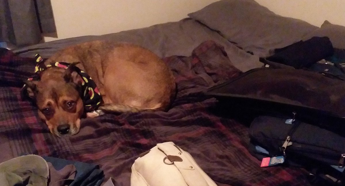 Mom has suitcase out... is she leaving me again for a long time??