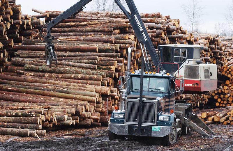 LISTEN: Change Brings Challenges For Vermont's Forests bit.ly/2uv4Wla https://t.co/nQ5tewPNHN
