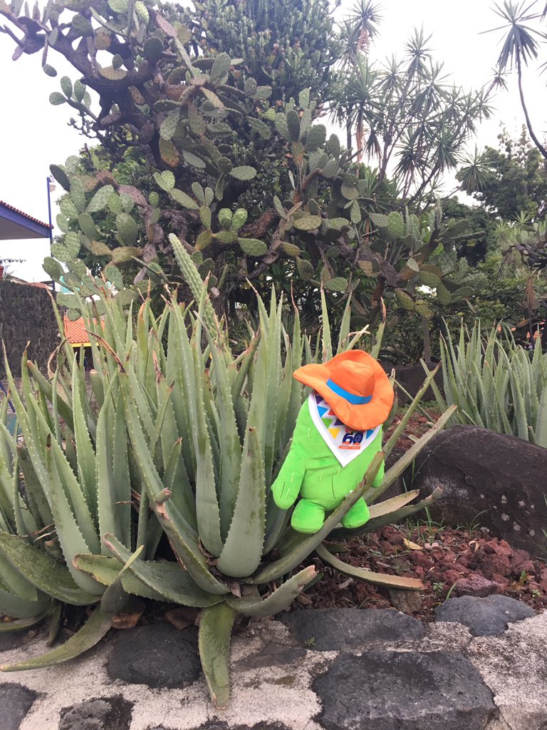 But he got a new necker #nuestracabana60