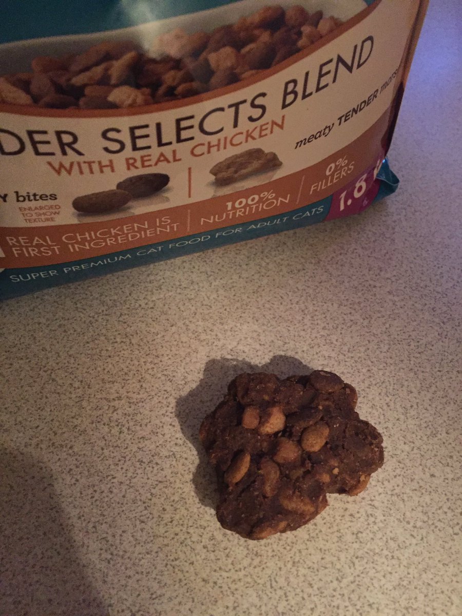 ForeverMytweet's tweet photo. @PurinaCanada - I found this clump in the Purina One catfood today. #PurinaCanada #PurinaOne https://t.co/eHfbMjtYWb