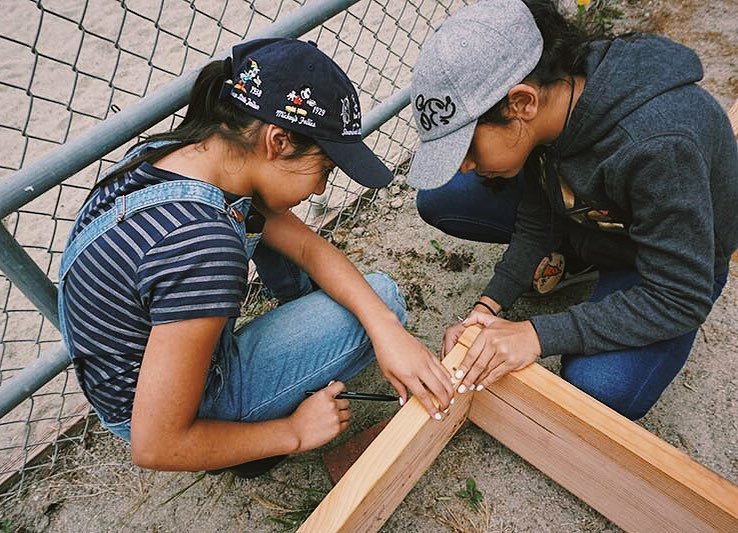 Healthy Planet US tweet media