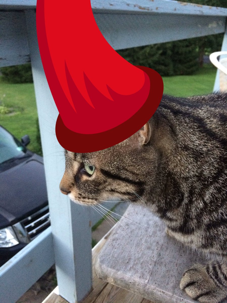 AidenSummers4's tweet photo. What did you say #mister wizard of pussys😤 https://t.co/62tpDhvK0L