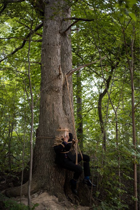 Overgrowth. @curiouslyswitch in my @mocojute . https://t.co/CdivbJ4S0Z<a class="tags" target="_blank" title="On Twitter" href="/?out=eyJ0eXAiOiJKV1QiLCJhbGciOiJIUzUxMiJ9.eyJpYXQiOjE3MjE1ODUwMzEsImlzcyI6InR3cG9ybnN0YXJzLmNvbSIsIm5iZiI6MTcyMTU4NTAzMSwiZXhwIjoxNzUzMTIxMDMxLCJyZWRpcmVjdF91cmwiOiJodHRwczovL3R3aXR0ZXIuY29tL2N1cmlvdXNseXN3aXRjaCJ9.BQN-tb6A3H_pDTVAHtOs5ClEIzoUbkdWSrlZVM932AVM8yaipEEWN92HgdjS1-SUOEWst-zXYOf_xIKWFt3Xvw">@curiouslyswitch</a><a class="tags" target="_blank" title="On Twitter" href="/?out=eyJ0eXAiOiJKV1QiLCJhbGciOiJIUzUxMiJ9.eyJpYXQiOjE3MjE1ODUwMzEsImlzcyI6InR3cG9ybnN0YXJzLmNvbSIsIm5iZiI6MTcyMTU4NTAzMSwiZXhwIjoxNzUzMTIxMDMxLCJyZWRpcmVjdF91cmwiOiJodHRwczovL3R3aXR0ZXIuY29tL21vY29qdXRlIn0.NUXqO1A7R0t2uSMNp8WPfd76m7bH-TYTslC5S0PJY7C04P2NZI41_YA9DNtAw0RwRout2DXciRJbduv-VzQHiA">@mocojute</a>