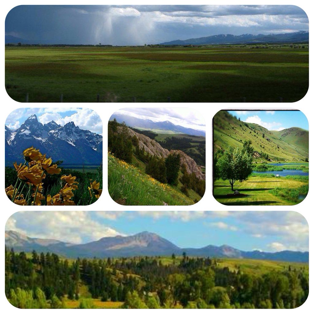 bell9091968's tweet photo. Jackson, WY https://t.co/kRSmqbbHGd