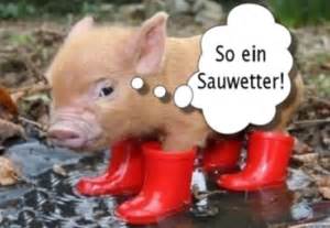 in_love_bvb's tweet photo. @gelberose09 😆😆 https://t.co/vHvzJhl2et