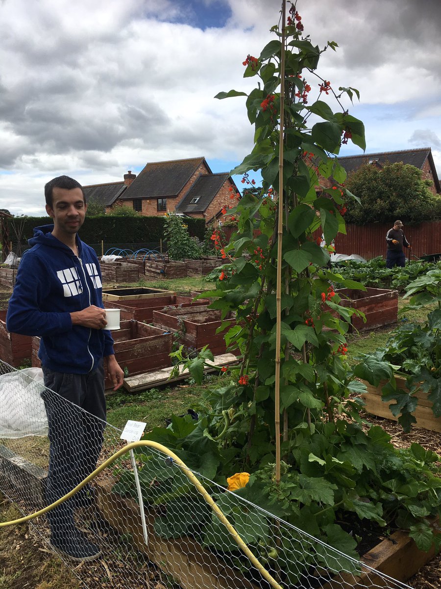 BrendanYoung3's tweet photo. Gr8 day at Malvern Hospital with Megan &amp; team raising funds for @linknurseries1 and demonstrating #WellBean Garden Club @sharonbellWCG https://t.co/NAJpVVjGhA