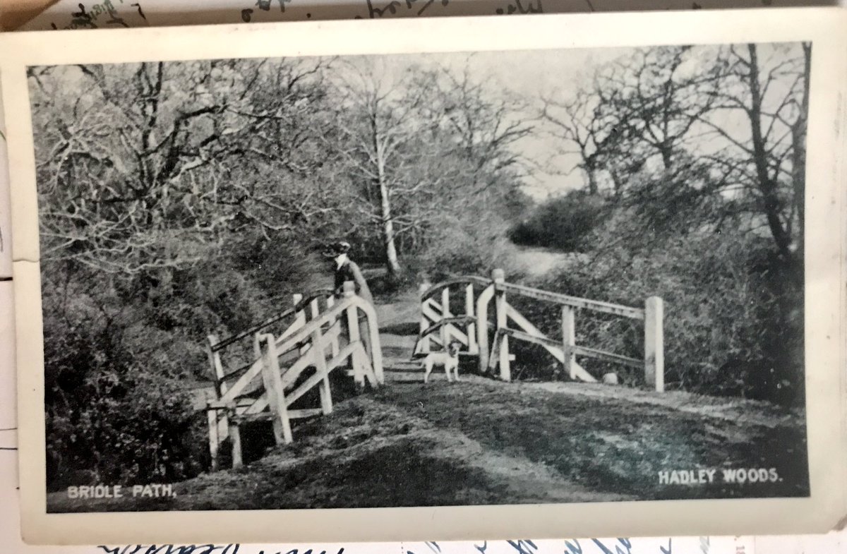 PastMessages's tweet photo. Hadley wood, Barnet, 1906:

How you was? I feel like an animated grease spot https://t.co/84GDBsW5L3