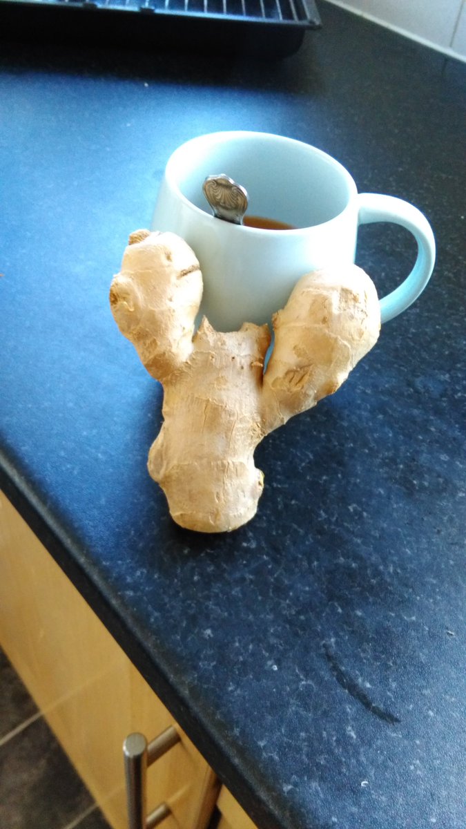 Bargainhunter85's tweet photo. #gingercrab name says it all https://t.co/ZrS0D2NrCR