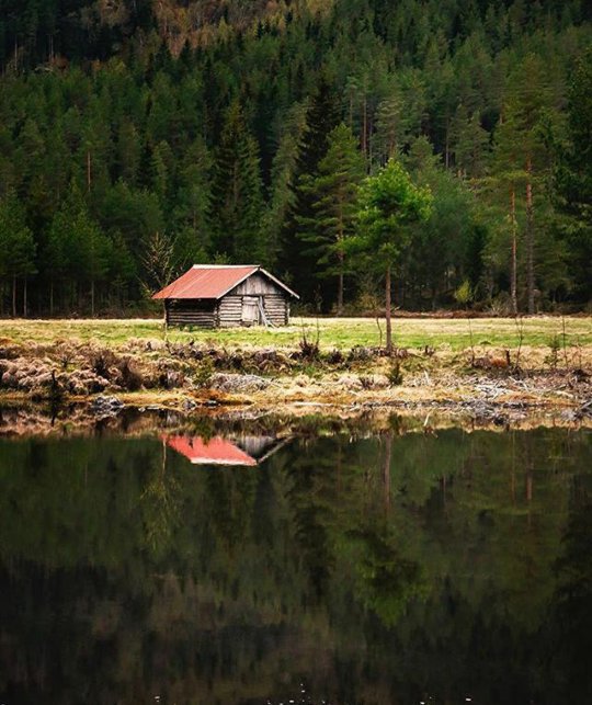 alondra55589's tweet photo. #Setesdalen-Byglandsfjord https://t.co/UWjvTGXs8c