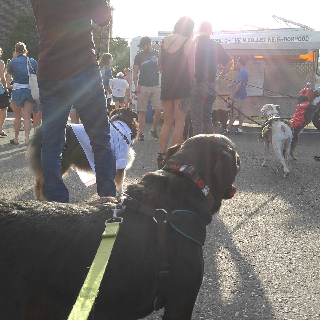 VerseManifest's tweet image. Jamie, Anakin and I walked in the #PupParade at @SisyphusBrewing this evening! @SidewalkDog