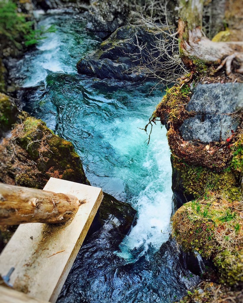 DanYmontero8's tweet photo. #photography 📷 #Filmes #VERDECONSTANCIA #nature #propuse https://t.co/hLw2BbRGU5