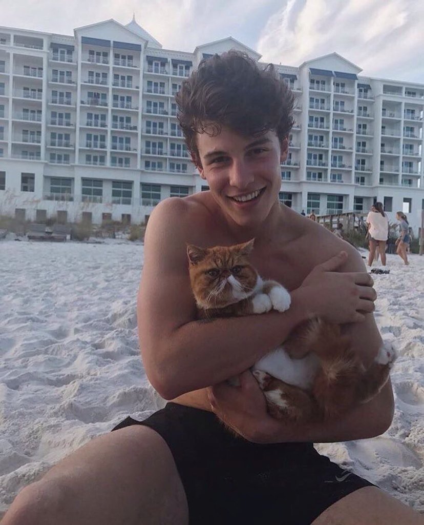 ShawnMe99089981's tweet photo. What can i say....he's so perfect https://t.co/kjTY7eP9ZC