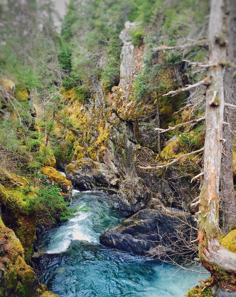 DanYmontero8's tweet photo. #photography 📷 #Filmes #VERDECONSTANCIA #nature #propuse https://t.co/hLw2BbRGU5
