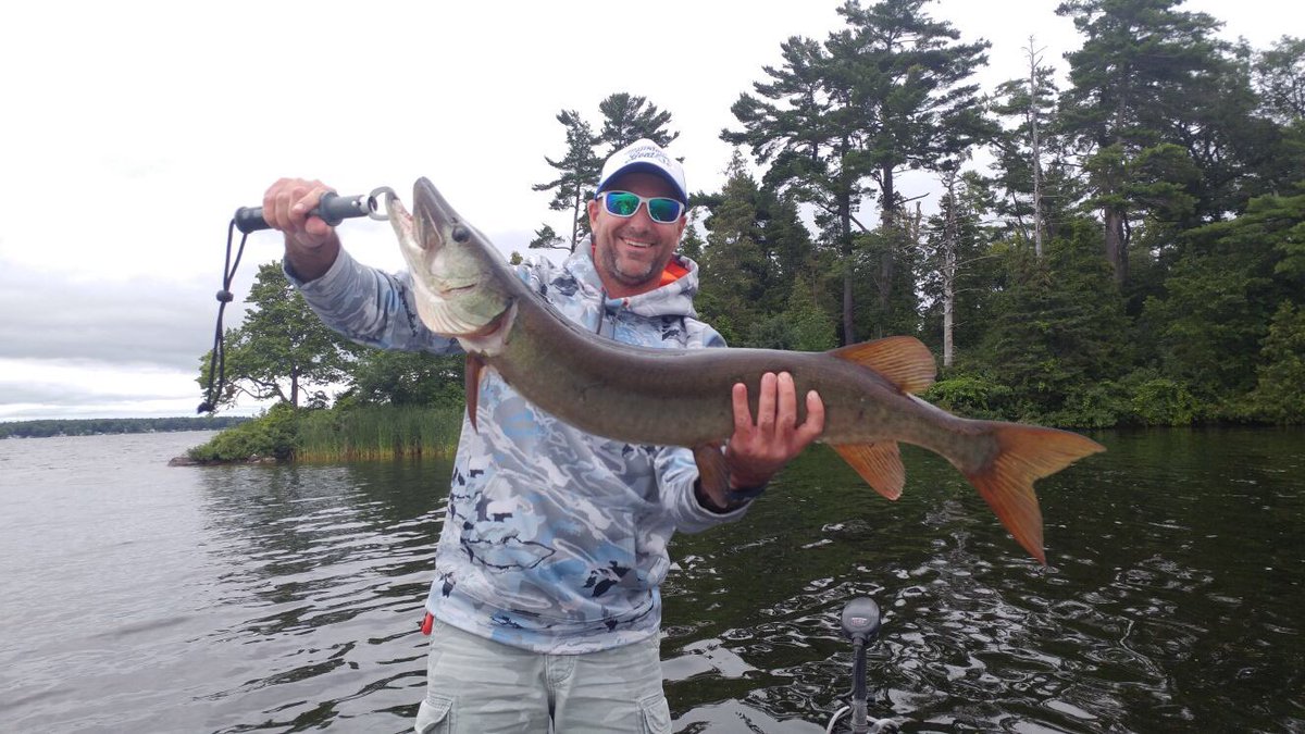 C_Norton7's tweet photo. @WestinFishing 45inch Musky mangled my first MonsterVibe went back and bought the store out of their remaining stock picked up a 39inch https://t.co/Bcj58dYUl3