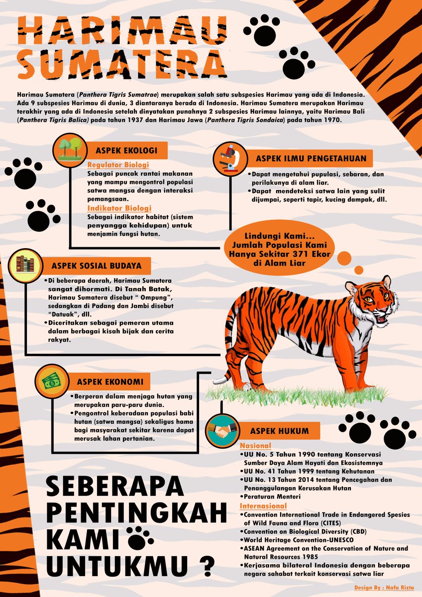 nafa rizta tweet media