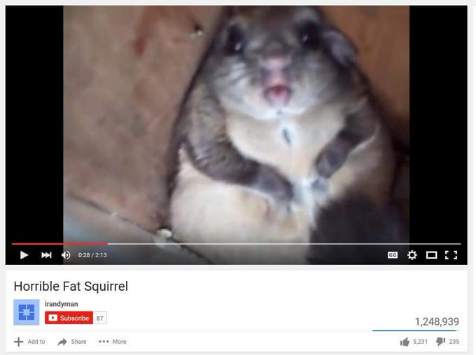 I just laughed until I cried from looking at this fucking picture https://t.co/OGV5W6nygV