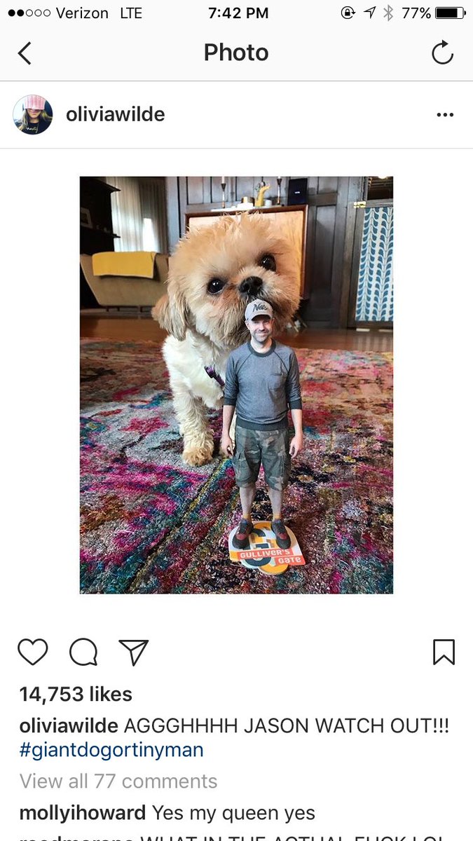 JRwilldoit's tweet photo. Ugh @oliviawilde @jasonsudeikis quit copying me and #lilJR https://t.co/oCvY8Q7sw0