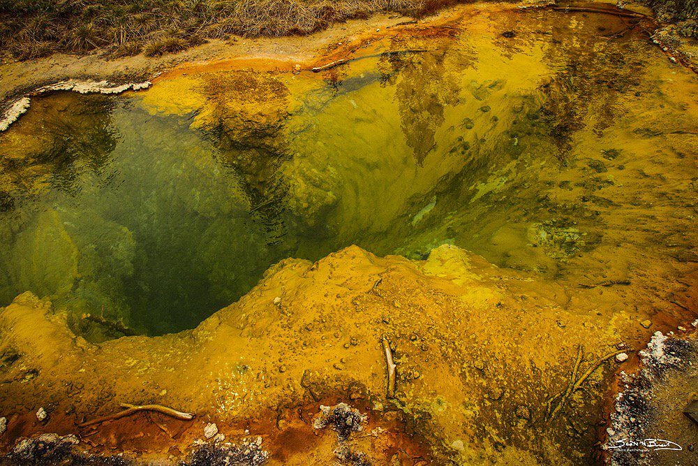 Pool of hot color <a href="/YellowstoneNPS/">Yellowstone National Park</a> <a href="/CanonUSAimaging/">Canon USA Corp.</a> #canonfavpic #canonfanphoto #nature #Canon #geysers #nationalpark