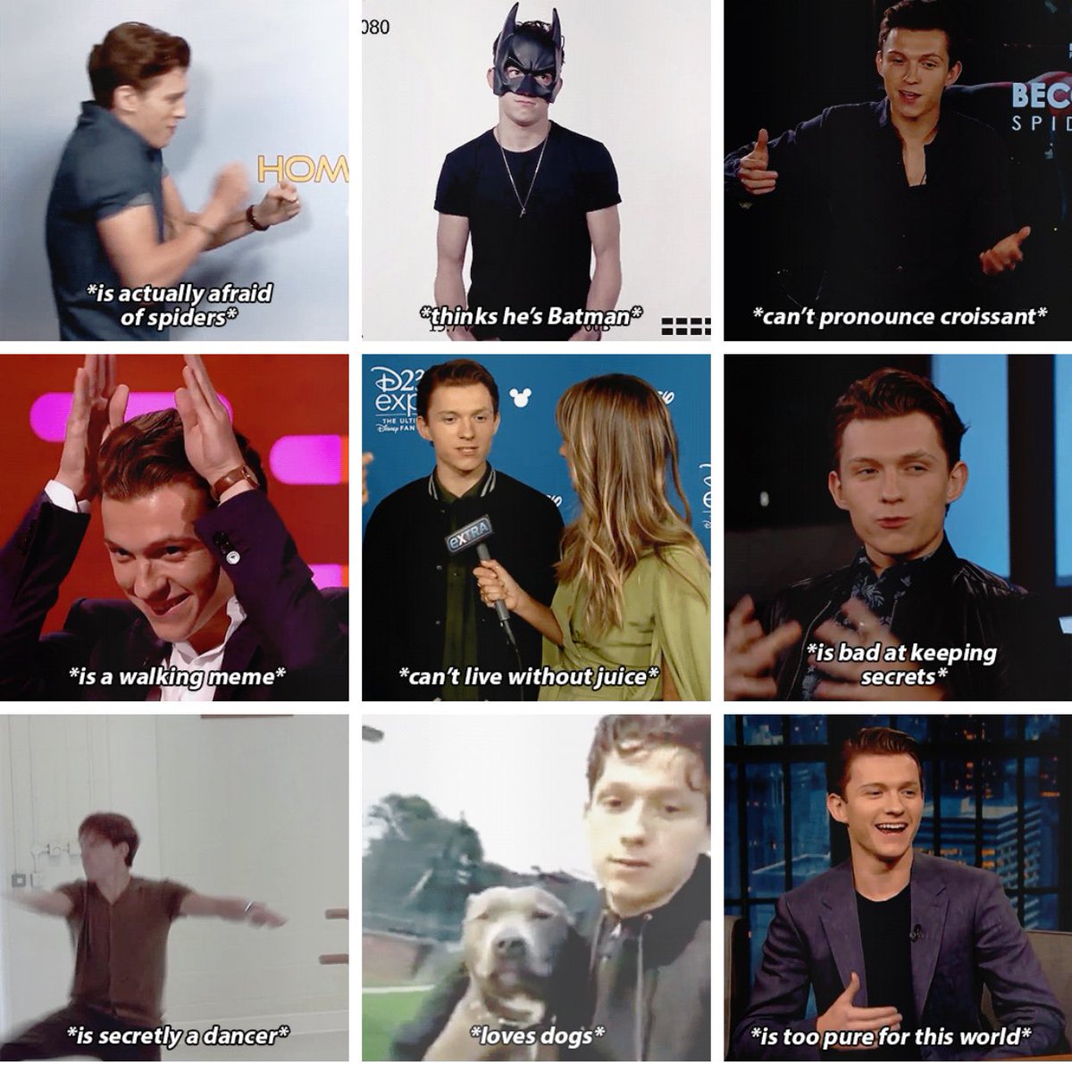 tommyspideyy's tweet photo. Tom Holland: a summary https://t.co/h1NBAe6M0R